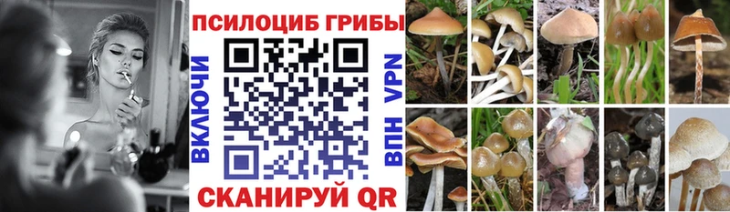 Галлюциногенные грибы Cubensis  Правдинск 