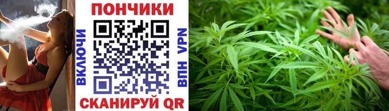 купить   Правдинск  мориарти телеграм  МАРИХУАНА OG Kush  omg зеркало 